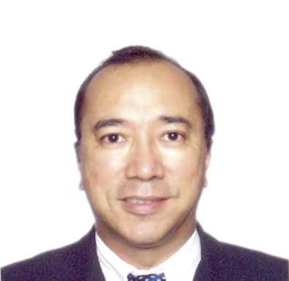 Freelance Consultant