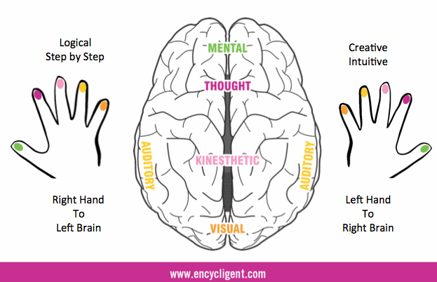 Relationship of Fingerprints and Brain