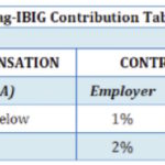 Here's Pag-ibig's premium for reference