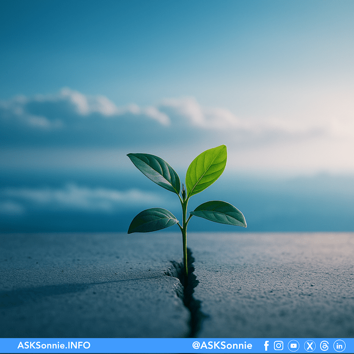 Resilience at Work: Growing despite unforgiving environment Resilience at Work — A small plant thriving in dry, harsh conditions symbolizing growth and faith in adversity